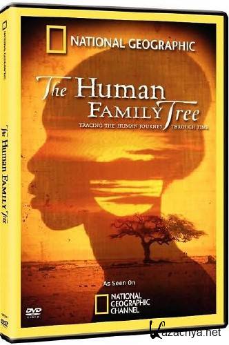   / National Geographic: The Human Family Tree (2009) SatRip