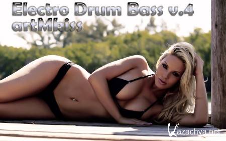 Electro Drum Bass v.4 (2013)