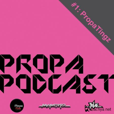 PropaTingz - PropaPodcast #1 (2013)