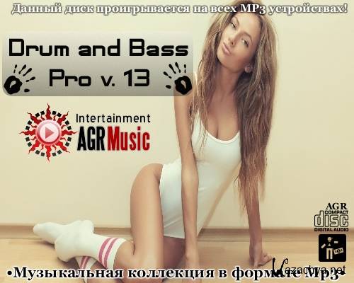 VA - Drum and Bass Pro V.13 (2013) MP3