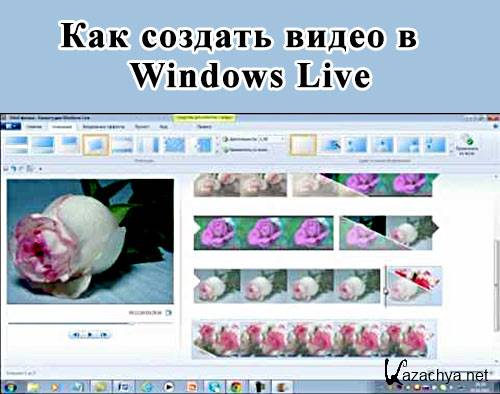      Windows Live (2013) MP4