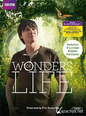BBC:  .   ? / BBC: Wonders of Life. What is life? (2013) HDTV 