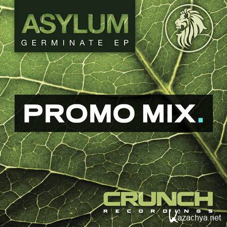 Asylum - Germinate EP Promo Mix (2013)