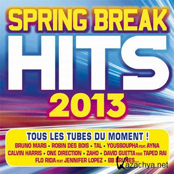 Spring Break Hits 2013 [2CD] (2013)