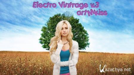 Electro Vintrage v.3 (2013)