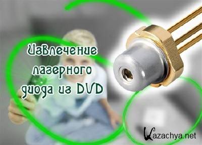     DVD (2013) DVDRip