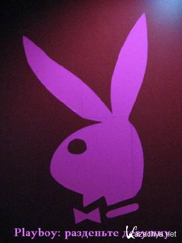 Playboy:   (2013) IPTVRip