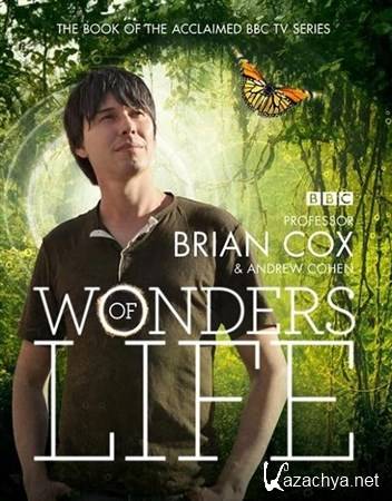   / BBC: Wonders of Life (2013) BDRip