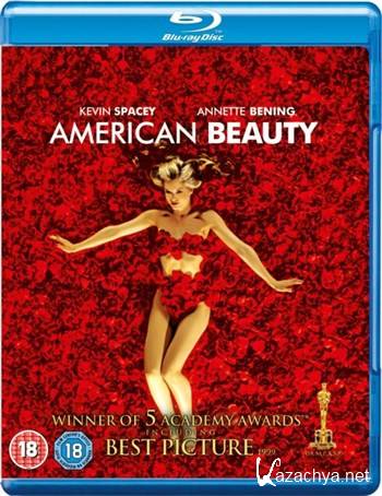  - / American Beauty (1999) BDRip + HDRip-AVC + BDRip-AVC + BDRip 720p