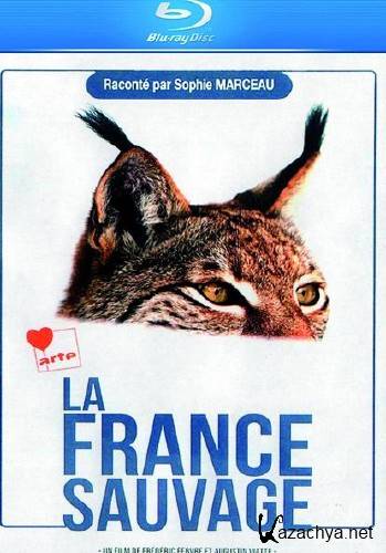   / La France Sauvage (2012) BDRip