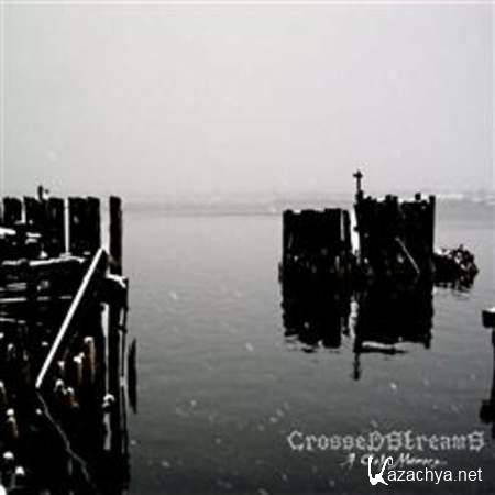 Crossed Streams - A Cold Memory [2013, Blackened Death, MP3]