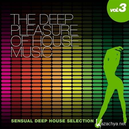 VA - The Deep Pleasure of House Music Vol 3 Sensual Deep House Selection (2013)