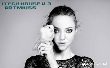 ITech House v.3 (2013)