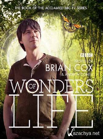 BBC.  .  / Wonders of Life. Home (2012) SATRip 