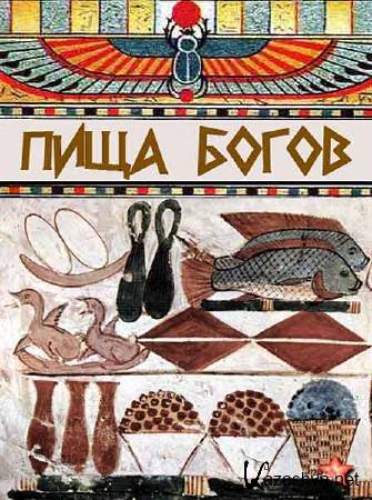 ���� �����. (20 �����) (2013) SATRip 