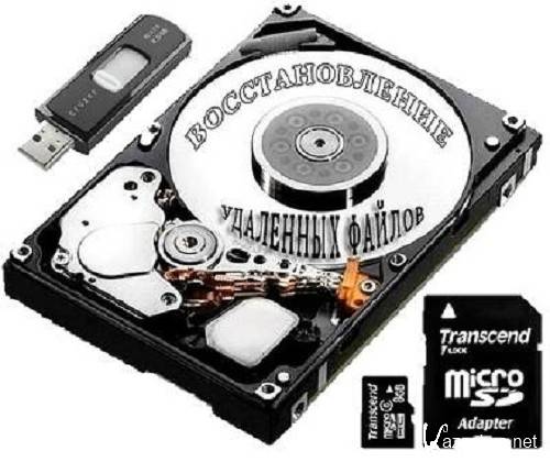 Raise Data Recovery for FAT/NTFS 5.9 (2013)