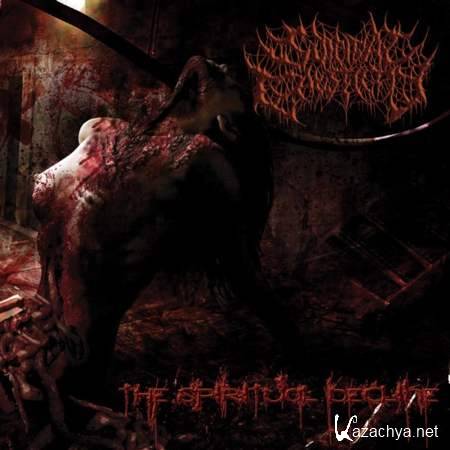 Causticity - The Spiritual Decline [2013, Brutal Death Metal, MP3]