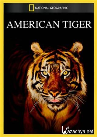   / American Tiger (2012) HDTV 1080i