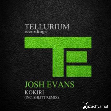 Josh Evans - Kokiri (Original Mix) [2013, MP3]