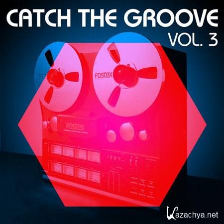 VA - Catch the Groove Vol 3 (2013)