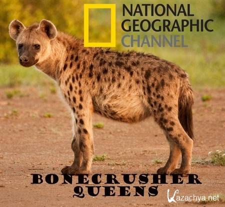 National Geographic. -  / National Geographic. Bonecrusher Queens (2008) HDTVRip