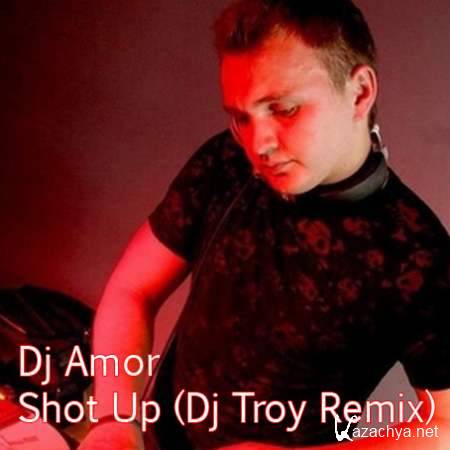 Dj Amor - Shot Up (Dj Troy Remix) [2013, Mp3]