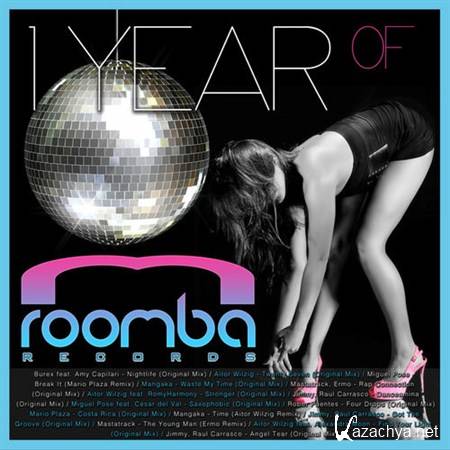 VA - 1 Year of Roomba Records (2013)