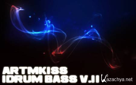 IDrum Bass v.11 (2013)
