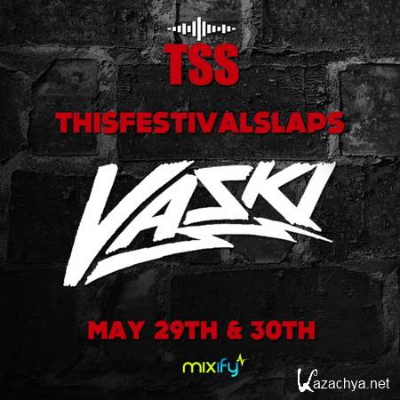 Vaski - ThisFestival Slaps Mixify Fest (2013)