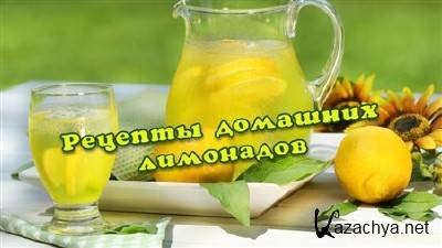 Рецепты домашних лимонадов (2013) Рецепты домашних лимонадов (2013)