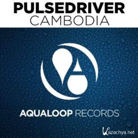 Pulsedriver - Cambodia (Selecta & MNS Remix) [2013, MP3]