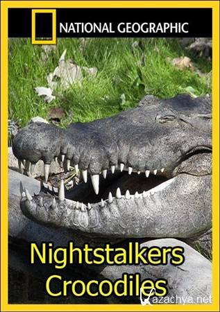  .  / National Geographic: Nightstalkers. Crocodiles (2011) HDRip 1080