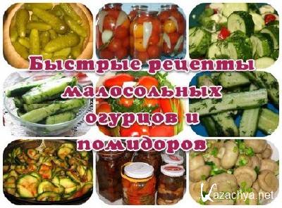 Быстрые рецепты малосольных огурцов и помидоров (2013)