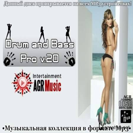 Va - Drum and Bass Pro V.20 [2013, Drum & Bass, MP3]