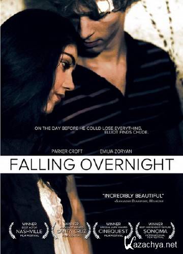   / Falling Overnight (2011/DVDRip/1400mb)