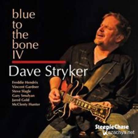 Dave Stryker - Blue To The Bone IV [2013, Jazz, MP3]