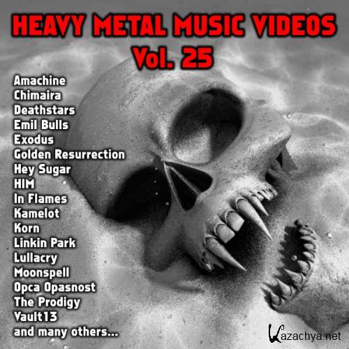 VA-Heavy Metal Video 25 (2013) DVDRip