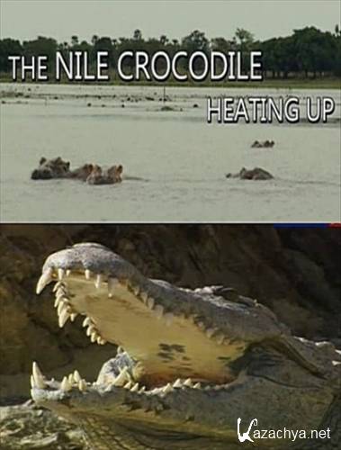 Нильские крокодилы. Пережившие фараонов (2011) SATRip