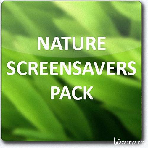 LifeDay ScreenSaver -     2.1 (2013)