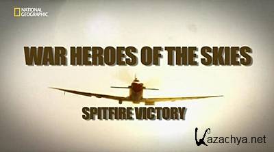   .  "" / War Heroes of the skies: Spitfire Victory (2012) IPTVRip