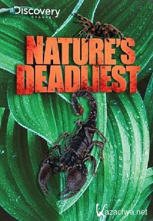 C  / Nature`s Deadliest (Episode 1-4 of 4) (2010) HDTVRip