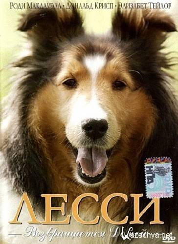 ����� ������������ ����� / Lassie Come Home (1943) DVDRip 