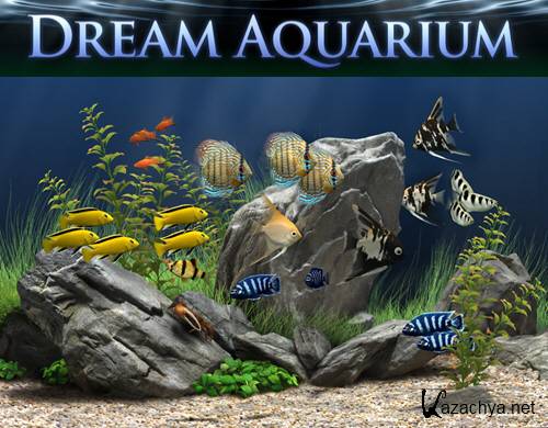 Dream Aquarium Screensaver 1.24 ( 21 Aquariums Portable) 