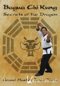 Bagua Chi Kung: Secrets of the Dragon, vol.1