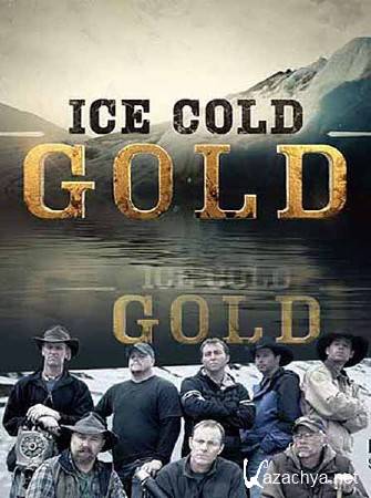 Discovery:  .   (2 ) / Ice Cold Gold (2013) SATRip 