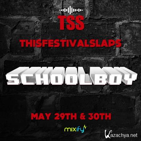 Schoolboy - ThisFestival Slaps Mixify Mix (2013)