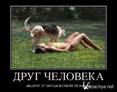 �������� ������������� � 584