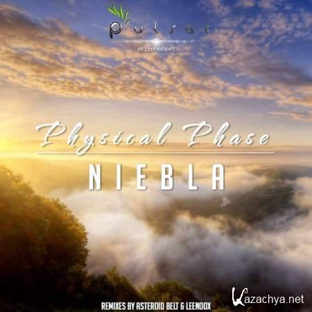 Physical Phase  Niebla (Original Mix) [2013, MP3]