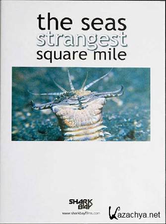      / The Sea's Strangest Square Mile (2012) SATRip 