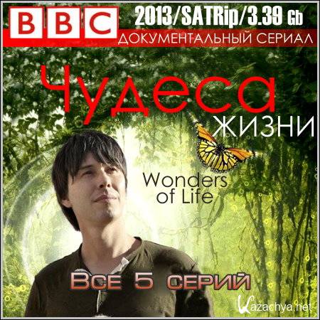 BBC:   -  5  (2013/SATRip)